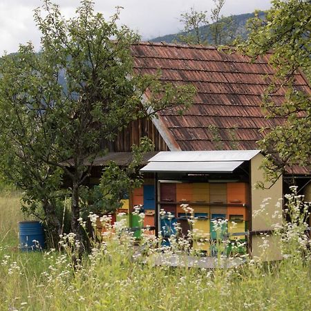 Apartma Petra Ravnik - Wanderer'S Hut Daire Bohinj Dış mekan fotoğraf