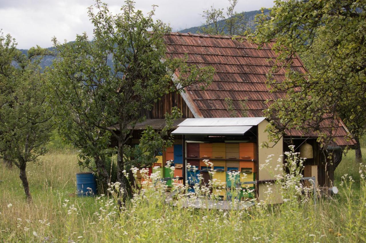 Apartma Petra Ravnik - Wanderer'S Hut Daire Bohinj Dış mekan fotoğraf
